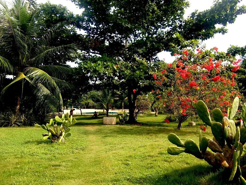 Kalipayan Beach Resort & Atlantis Dive Center Panglao Philippines